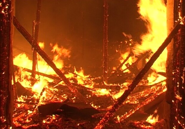 В Балаклейском районе сгорел частный дом. Фото с сайта ГТУ МЧС Украины в Харьковской области.