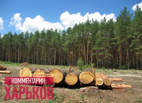 Новость - Транспорт и инфраструктура - В лесах Харьковщины создадут 15 цивилизованных зон отдыха