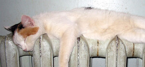 В этом месяце запорожцы сэкономят деньги на отоплении