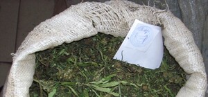 Милиция изъяла у мужчины полкило конопли