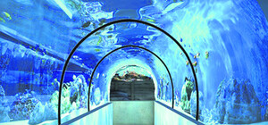 В Киеве бум на океанариумы - в декабре откроют еще один