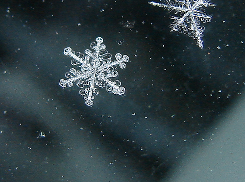Синоптики обещают харьковчанам снег. Фото - stihi.ru