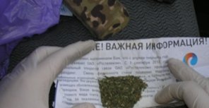 Сотрудник харьковского "Грифона" попался с марихуаной. Фото пресс-службы областной таможни.