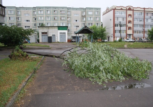 Ветер повалил много деревьев. Фото: eaomedia.ru.