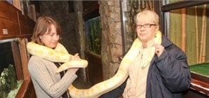 Накануне Года Змеи: легко ли быть чешуйчатой в Одессе? 