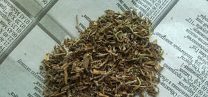 За пристрастие к наркотикам житель Харьковщины проведет 2 года в тюрьме