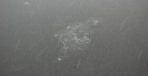 Стало ясно, откуда в Днепре появились подозрительные пятна