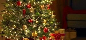 Где запорожские VIPы отмечали новогодние праздники