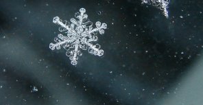 Синоптики обещают харьковчанам снег. Фото - stihi.ru.