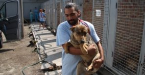 Весной в Запорожье начнут массовую кастрацию