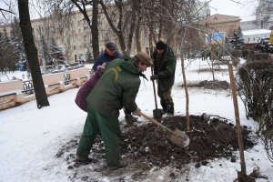 В этом году в Харькове высадят деревьев на 700 тысяч гривен. Фото с сайта Харьковского горсовета.