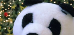 На Луганщине у девушки отобрали игрушку прямо на улице