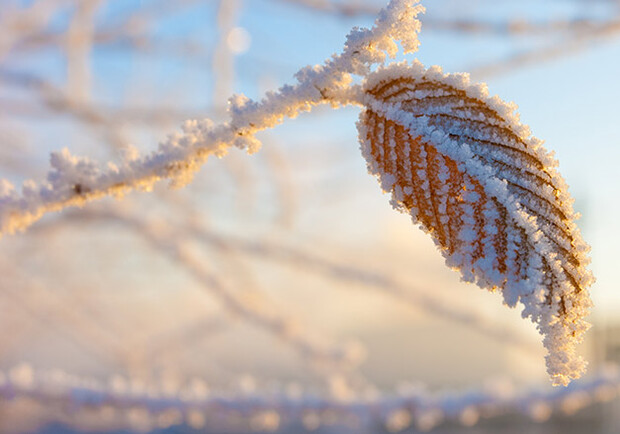 Завтра в Харькове будет небольшой мороз. Фото: www.gismeteo.ru .