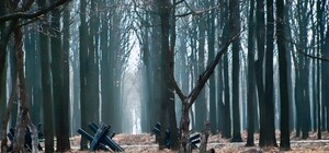 На территории одесского мемориала 411 батареи хотят построить развлекательный комплекс