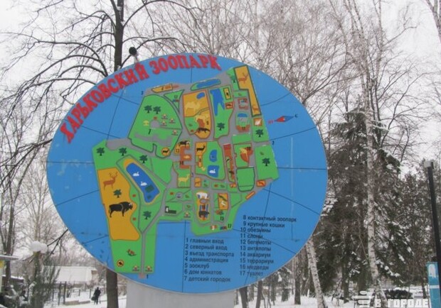 В этом году зоопарк получит около 20 миллионов гривен. Фото: Vgorode.ua 