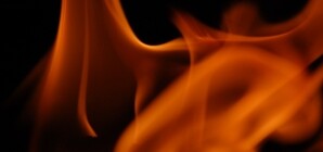 На Луганщине ночью загорелась зона