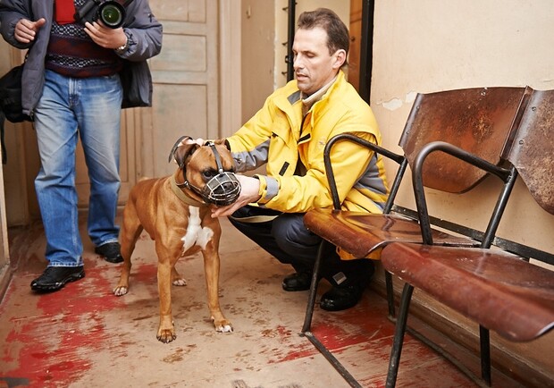 Все владельцы домашних животных обязаны вакцинировать своих питомцев от бешенства. Фото с сайта Харьковского горсовета.