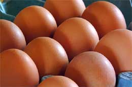 Через несколько месяцев простые яйца станут золотыми. Фото с сайта ehow.com