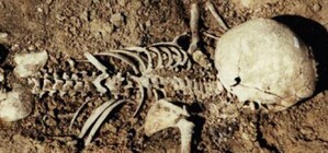 Возле гипермаркета в Симферополе нашли скелет