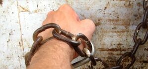 На Луганщине выкрали школьников и жестоко избили их за городом