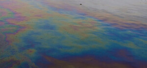 Экологи рассказали, откуда взялись таинственные пятна в море у берегов Крыма