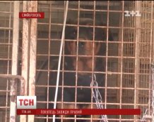 В Симферополе мужчина, разозлившись на продавщиц, стал кидать в них банками с огурцами