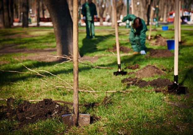 В посадке деревьев приняли участие врачи-невропатологи со всей страны. Фото с сайта Харьковского горсовета.
