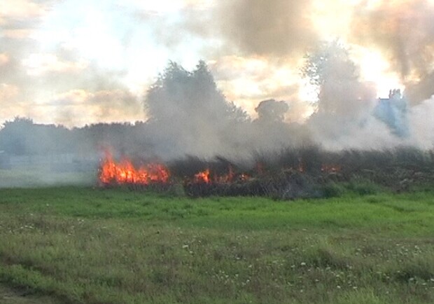 Все пожары возникли из-за занесения открытого источника огня. Фото с сайта ГТУ МЧС Украины в Харьковской области.