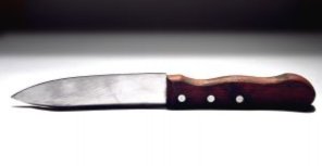 В Донецкой области женщина зарезала подругу