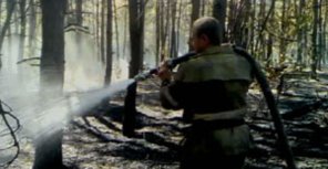 На Змиевщине пылал лес. Фото с сайта ГТУ МЧС Украины в Харьковской области.