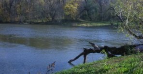 В Донце обнаружили подозрительную пену