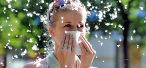 Зачем в городах сажают тополя и что делать с аллергией