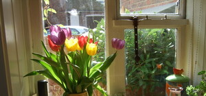 Арендуем дачу на лето: сколько стоит снять домик под Донецком?