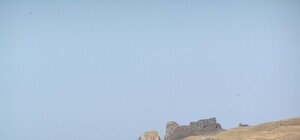 В Азовском море выловили скелет в теплой одежде