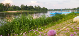 Стартуем на отдых с АС Крытый рынок: маршруты, цены, расписание