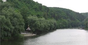 Кто-то вылил в Северский Донец воду из аквариума – река зарастает тропическими сорняками