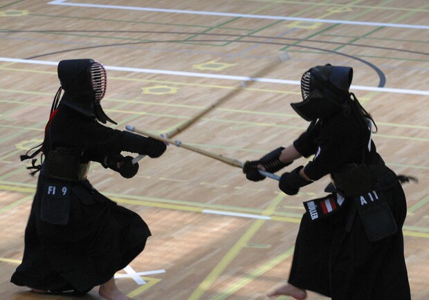 Бой на мечах. Фото: wikipedia.org
