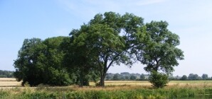 Донец попал в пятерку самых грязных рек Украины