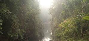 Северский Донец признан одной из самых грязных рек