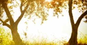 Как долго луганчанам терпеть жару? Прогноз погоды от главного синоптика страны