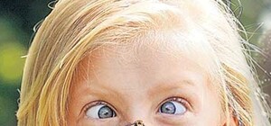 На Запорожье 8 детей оказались в больнице после укусов диких ос