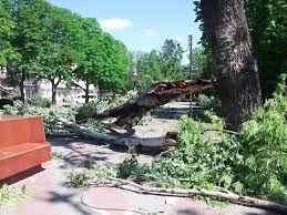 В центре города дорогу машинам перегородили деревья