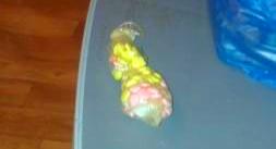 Одесские тюремщики нашли в жене зека огромный презерватив с таблетками