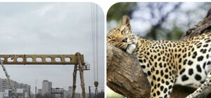 Из бюджета дали денег на метро, дороги и Дом для гепардов