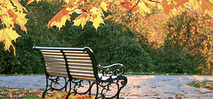 10-дневное бабье лето придет со следующей недели