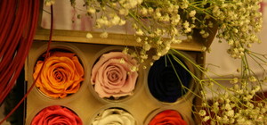 Голландцы изысканно презентовали новую розу в честь Донецка