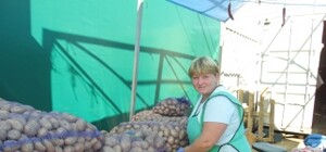 В Крыму картошка резко подорожала вдвое