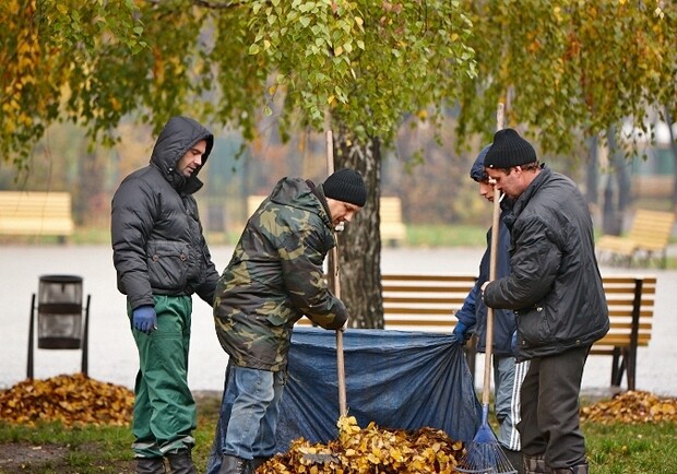 Новость - Коммуналка - Куда в Харькове увозят опавшие листья