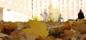 Чем жил Луганск:  cамые позитивные новости недели