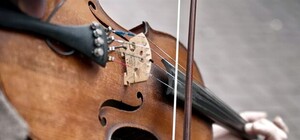 В Харьков привезут уникальные старинные скрипки